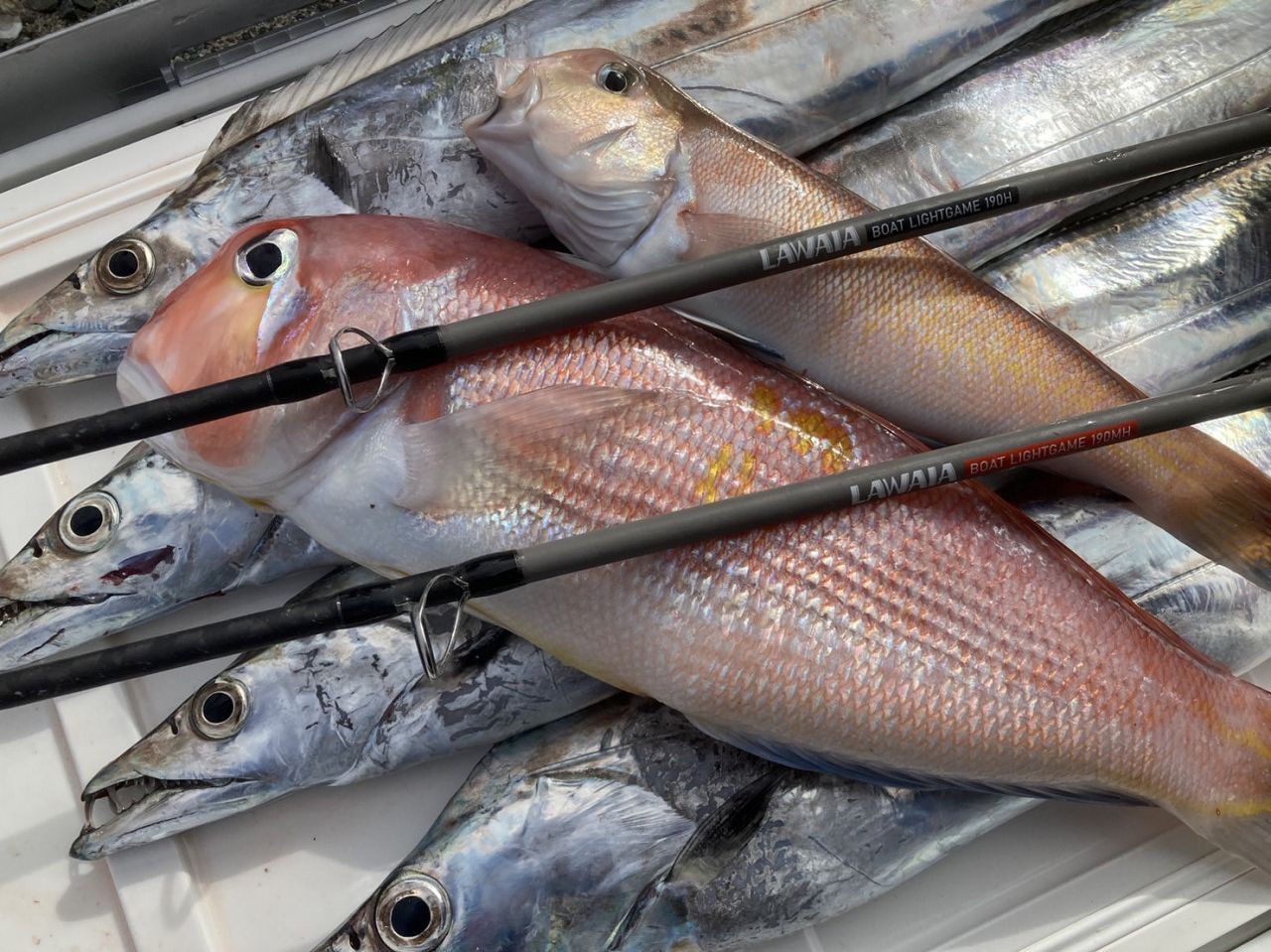 別アングルのロッド写真